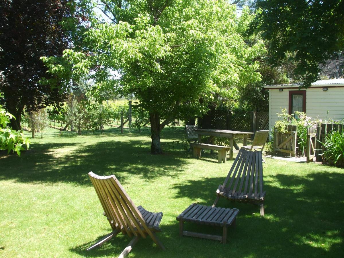 Villa In The Vines Martinborough Exteriér fotografie