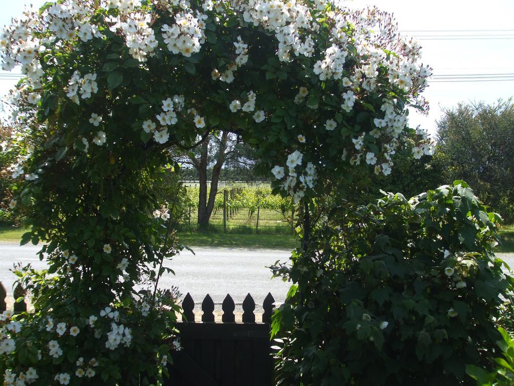 Villa In The Vines Martinborough Exteriér fotografie