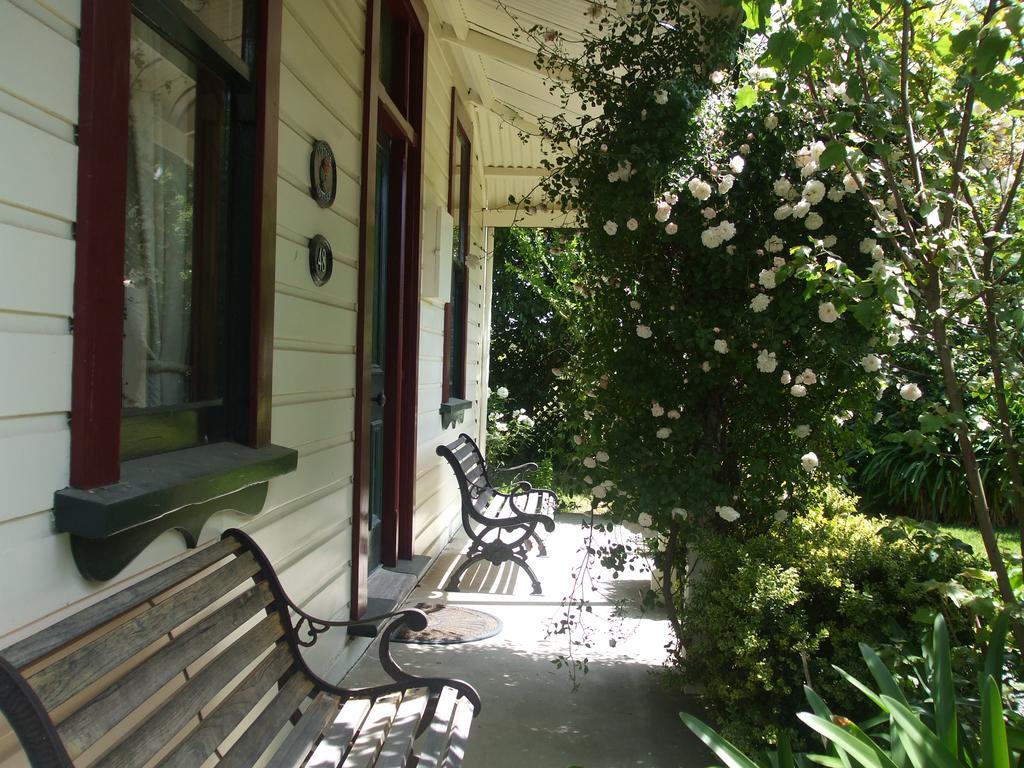 Villa In The Vines Martinborough Exteriér fotografie