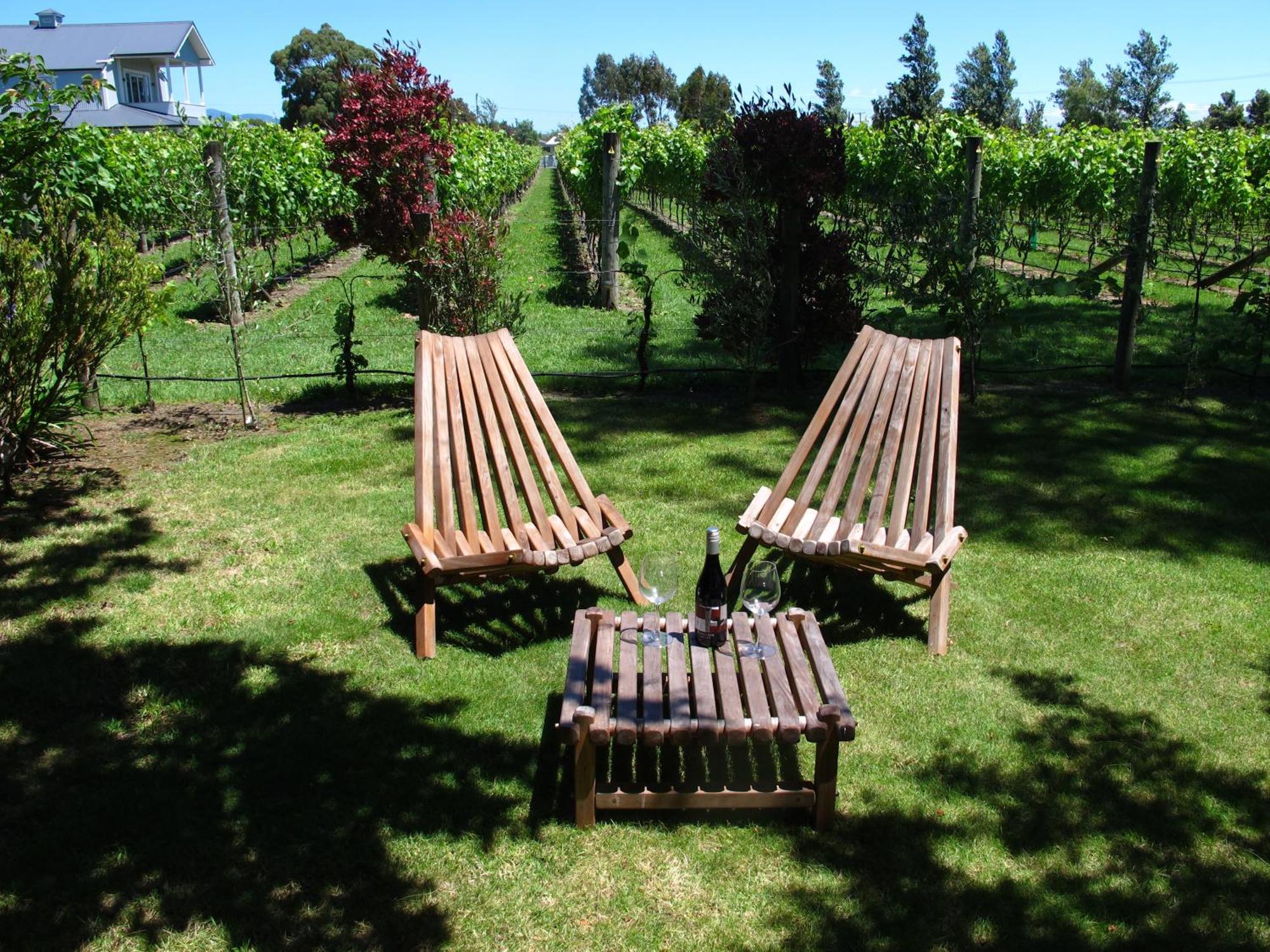 Villa In The Vines Martinborough Exteriér fotografie