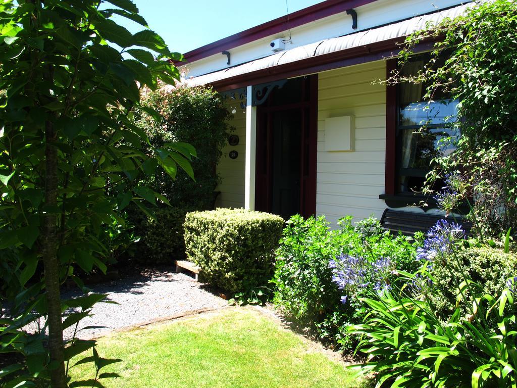 Villa In The Vines Martinborough Exteriér fotografie